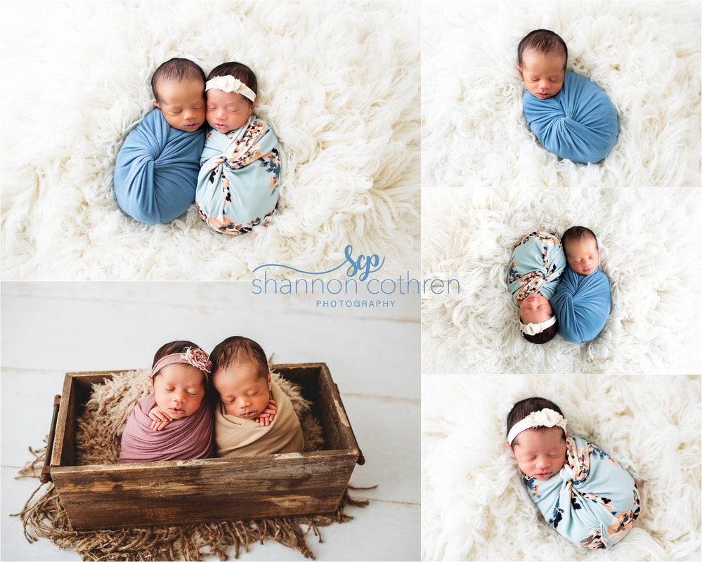 Oklahoma twin newborn studio photos