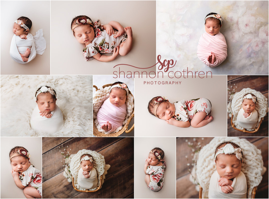 Southern Oklahoma, Shannon Cothren Photography, baby girl newborn studio studio portraits